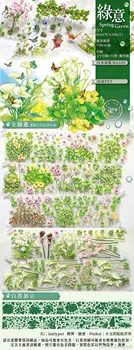 1 петля 8 см x 150 см ПЭТ-лента для весенних зеленых растений